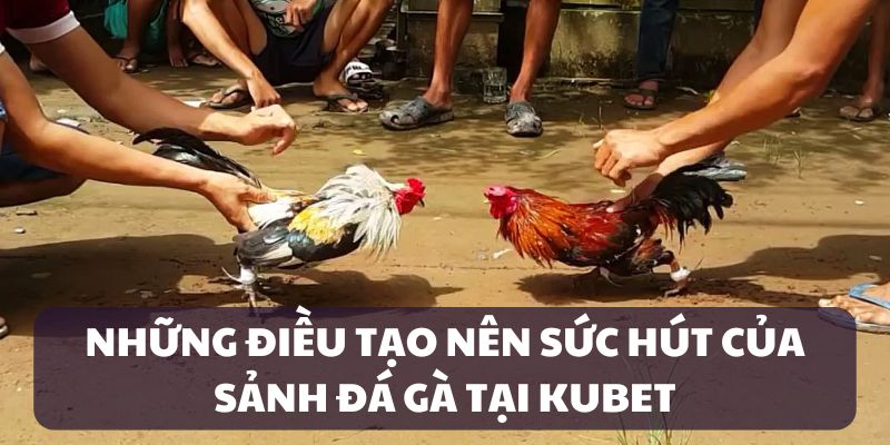 Điểm thu hút của sảnh