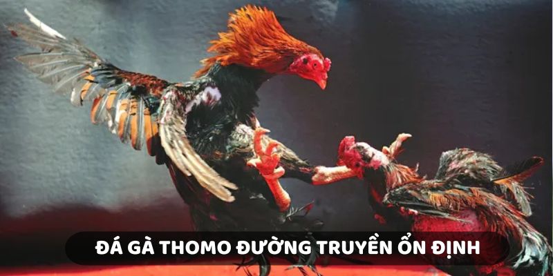 Đường truyền ổn định mang đến những trận đấu hấp dẫn cho hội viên