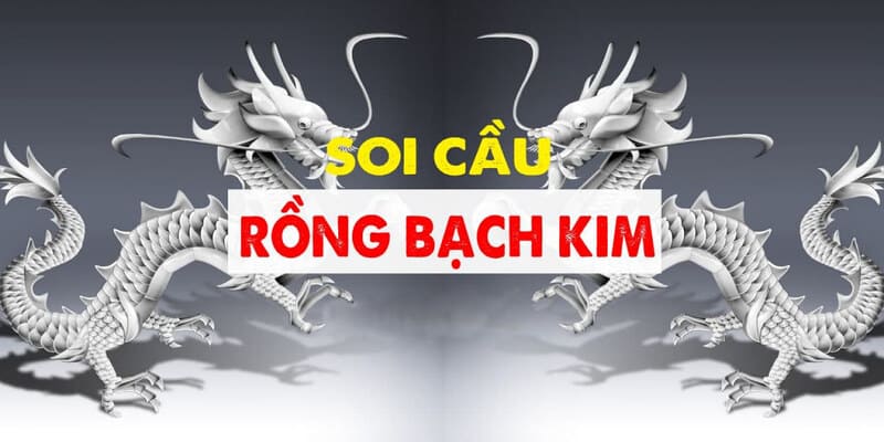 Giới thiệu về phương pháp soi cầu rồng bạch kim Kubet